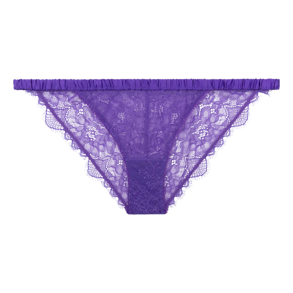 LOVE STORIES~ Wild rose brief