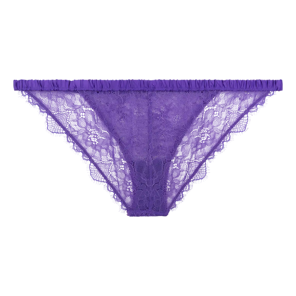 LOVE STORIES~ Wild rose brief