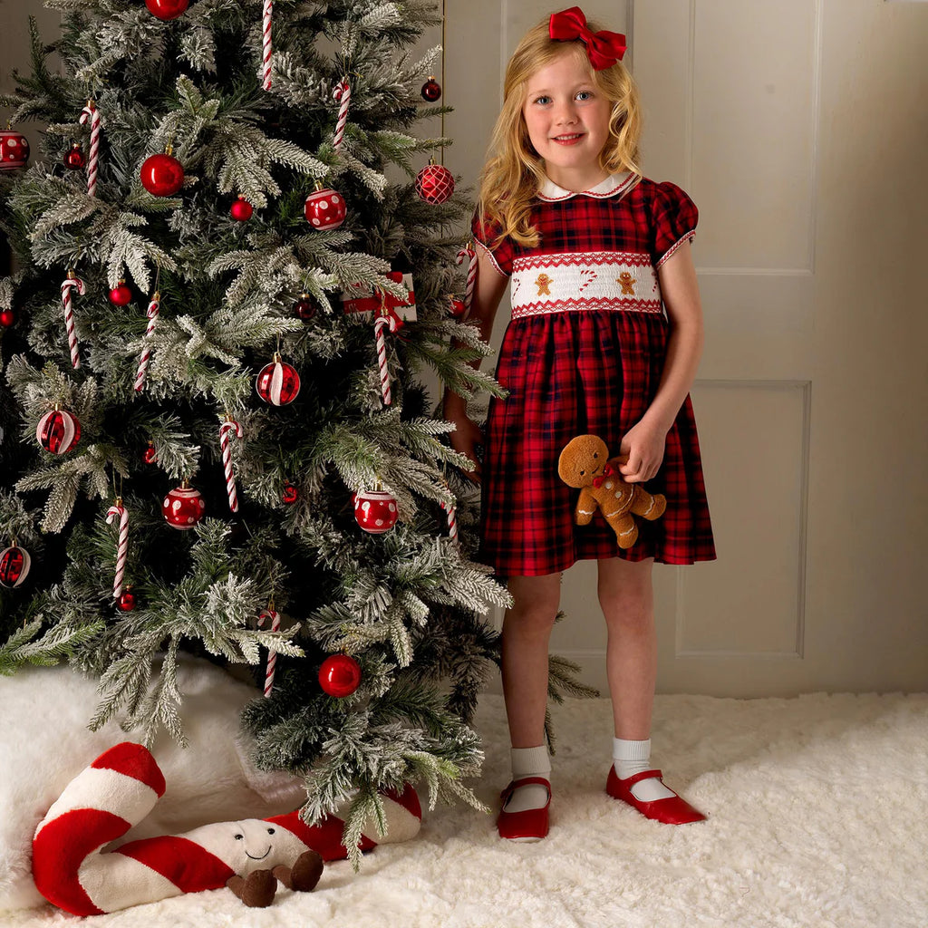 RACHEL RILEY~ Smocked gingerbread plaid dress
