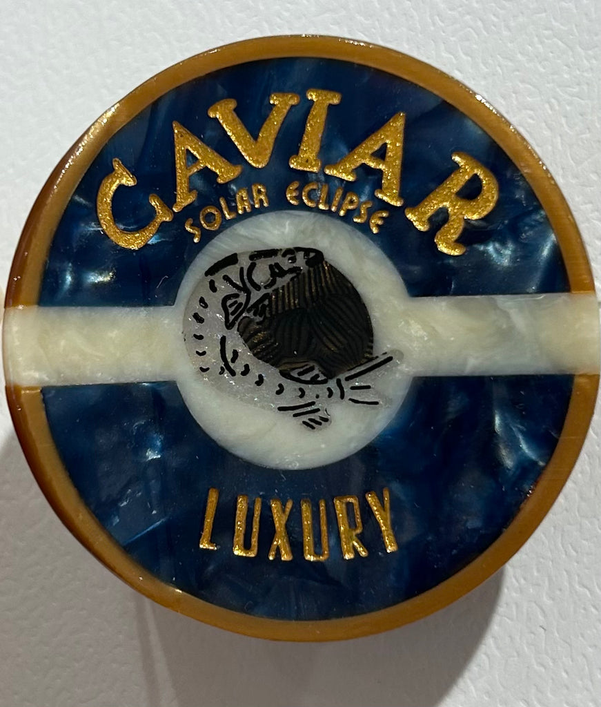 SOLAR ECLIPSE~Assorted claw hair clip