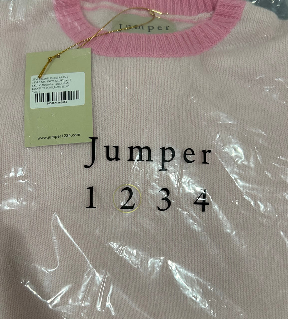 JUMPER 1234~ Contrast cashmere crew