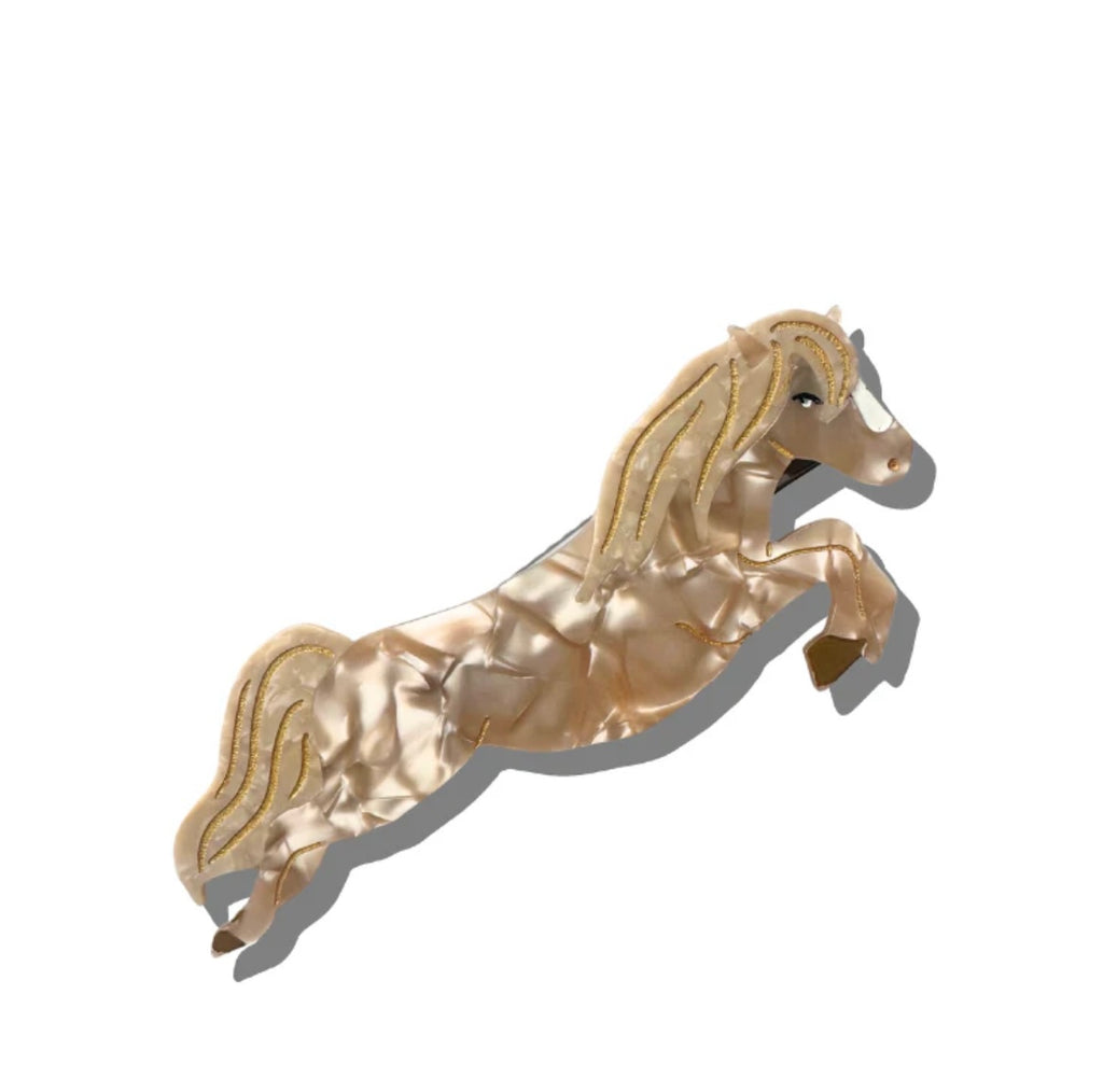 SOLAR ECLIPSE~Assorted claw hair clip