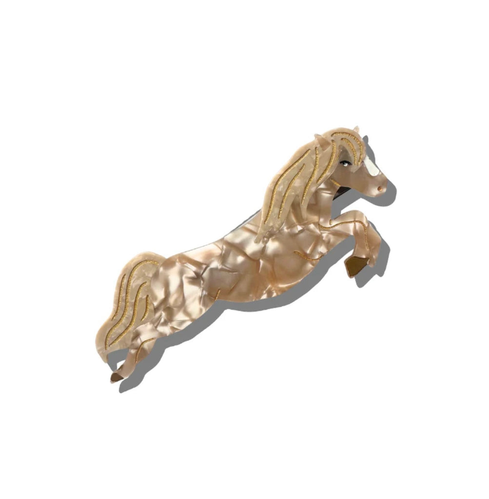 SOLAR ECLIPSE~Assorted claw hair clip