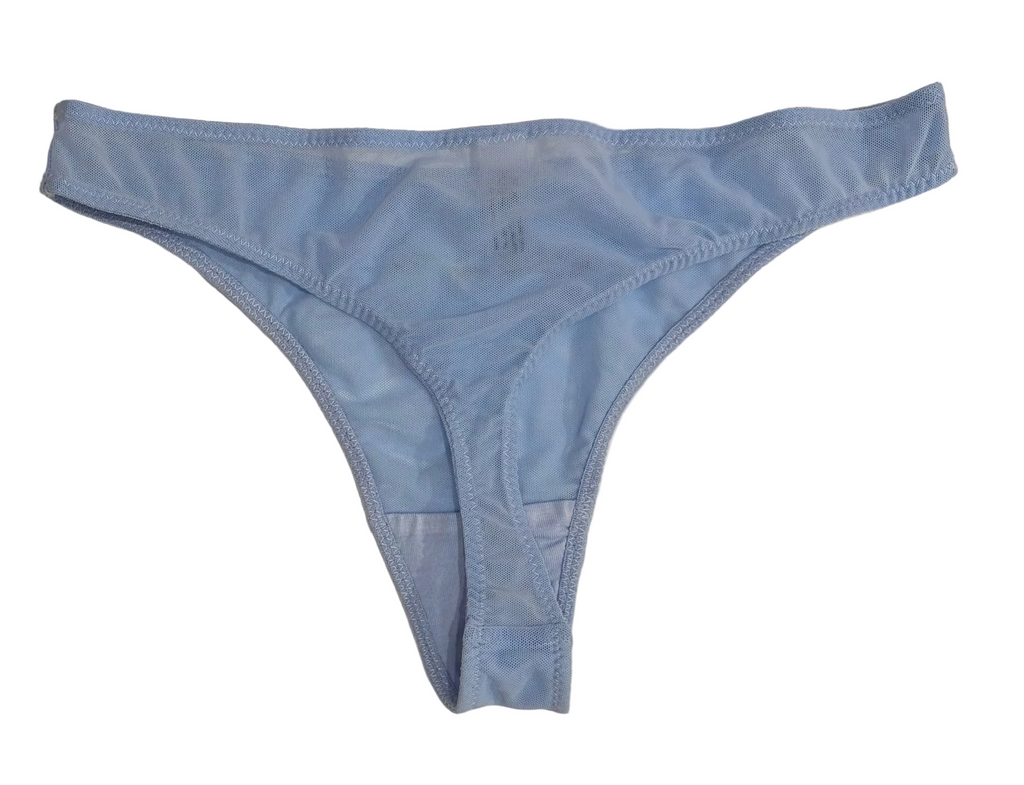 LOVE AND SWANS~ Mesh Thong with Bird/Heart Embroidery