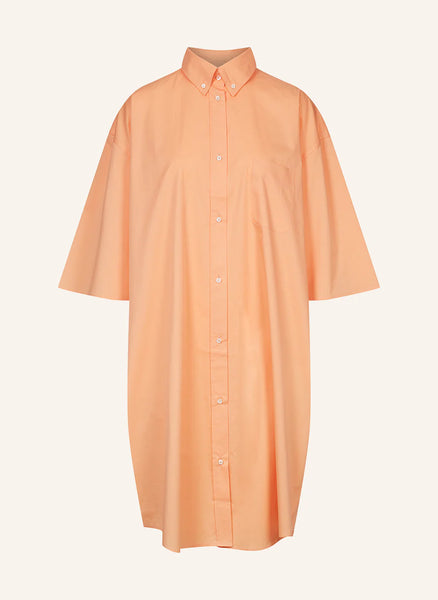 YELLAMARIS~ Poplin shirt dress
