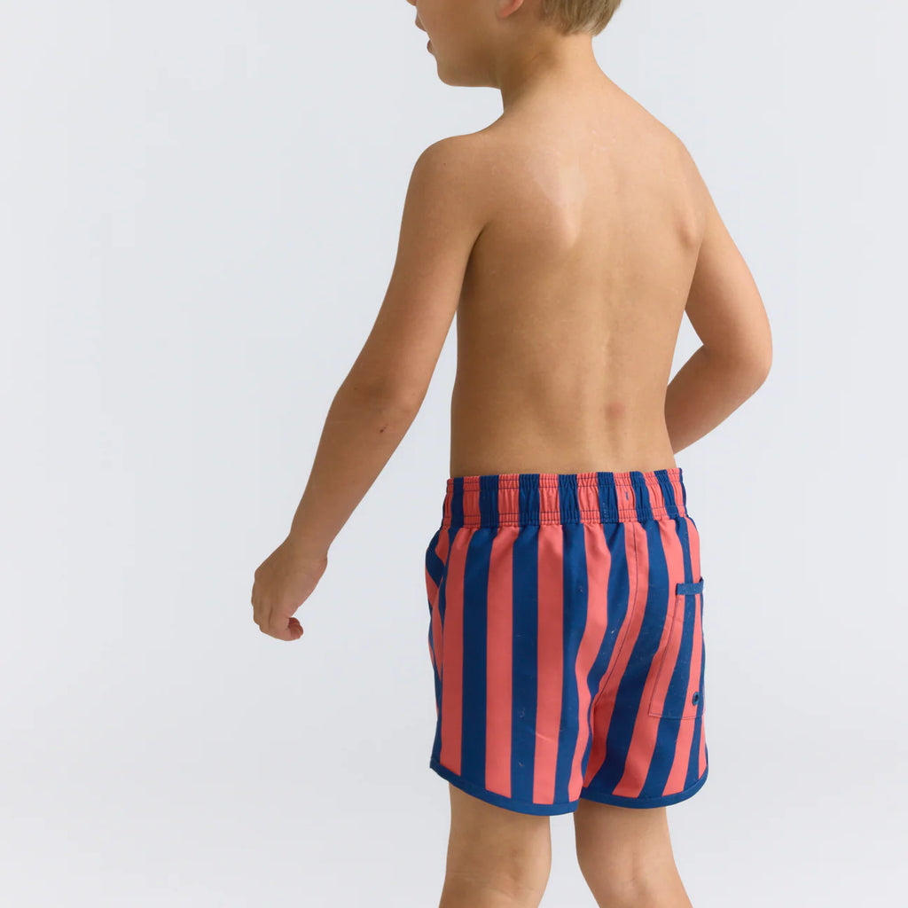 MINNOW~ Boys Nauset stripe boardie