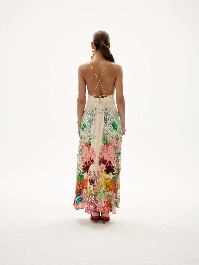 CAROLINA K~ Star dress